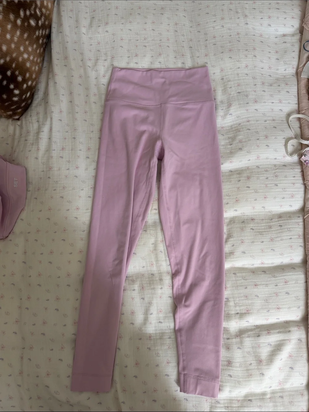 SETActive Light Pink Seamless Sports Bra and Legging Set